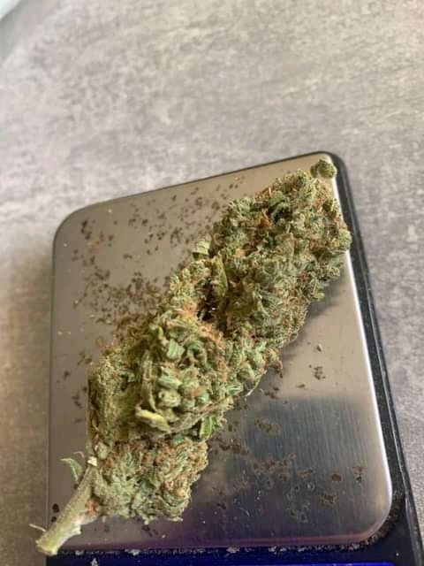 rouanplug's tweet image. Discret et rapide ajouter moi sur Snap pou plus dinfo⚡️ 🍁🍁🍁:Snapchat.com/add/harshplug21
#nuitdebout #tourisme   #CannabisCommunity #shit
#proverbe #Paris17 #Nantes #Toulouse #bordeaux  #Marseille #Rennes #Lorient #Quimper #Strasbourg #Lille #Avignon #Marseille #livraison #bedo