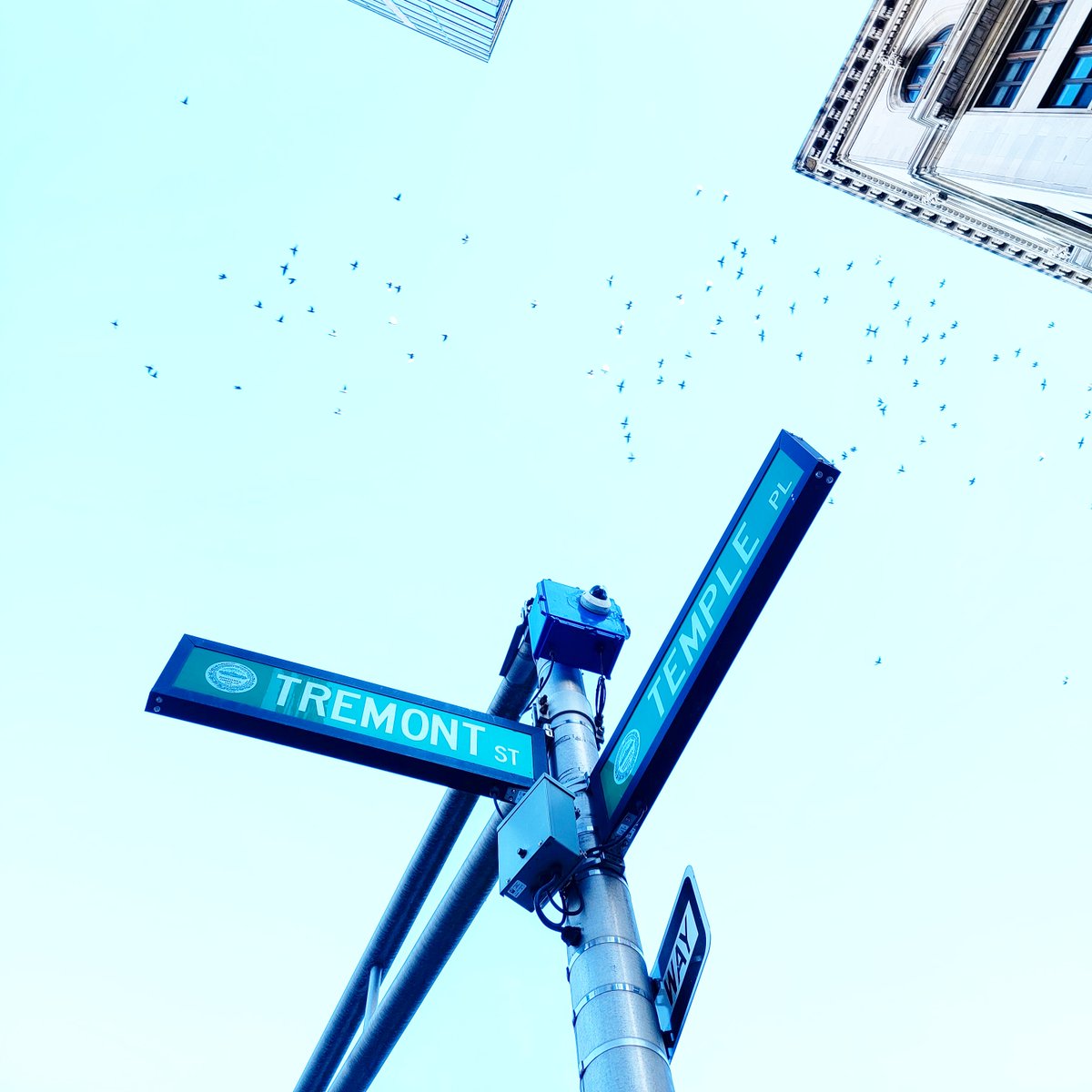 OnlyInBOS's tweet photo. Trem-mont, not Tree-mont. https://t.co/LGM6VRyw7c