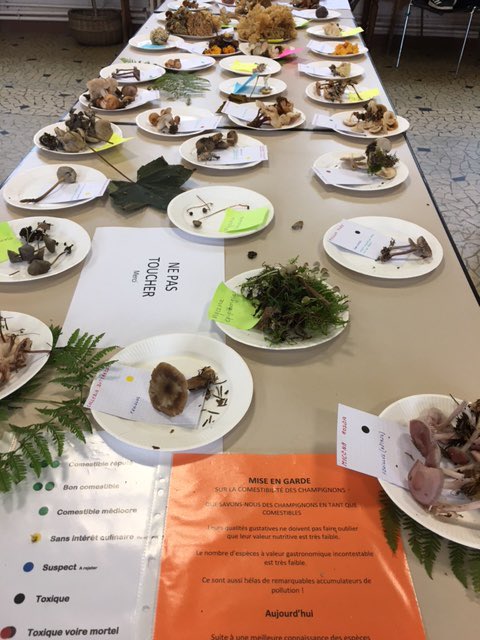 patmarsh's tweet photo. Live from #France our ex-pat @Samskitchen joins us after 3pm today @BBCRadioKent   

Topics of conversation include angry hermits, furtive fungi &amp; the knights of tripe.

I’m hoping that any ensuing controversy prompts the @TripeUK to sue the show - we could do with the publicity! https://t.co/Ez25XfZrPF