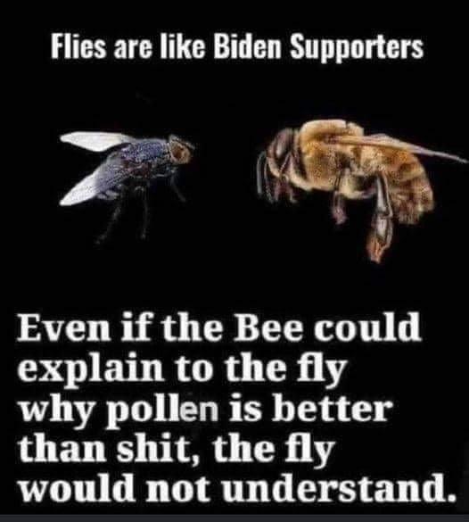 Art 🇺🇸 🇺🇸 (@artjlynch3) on Twitter photo 