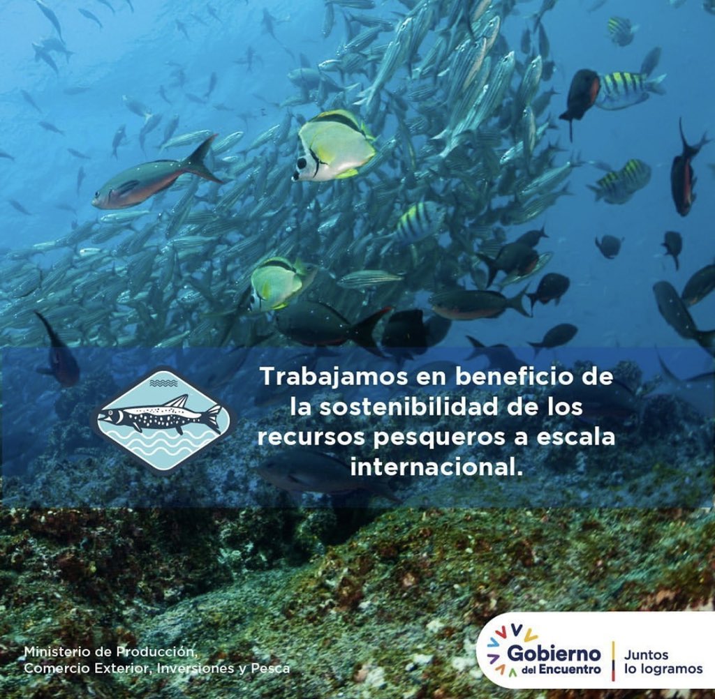 andresarens's tweet photo. @Produccion_Ecu @LassoGuillermo @Presidencia_Ec @Ambiente_Ec @GustavoManriq_M @pradojj @azulsostenible1 El presidente @LassoGuillermo anunció hoy la ampliación de las zonas de protección alrededor de las Galápagos. Este hecho histórico es posible gracias a su gran liderazgo y al compromiso del sector pesquero con la sostenibilidad https://t.co/pPHr0TxCd5