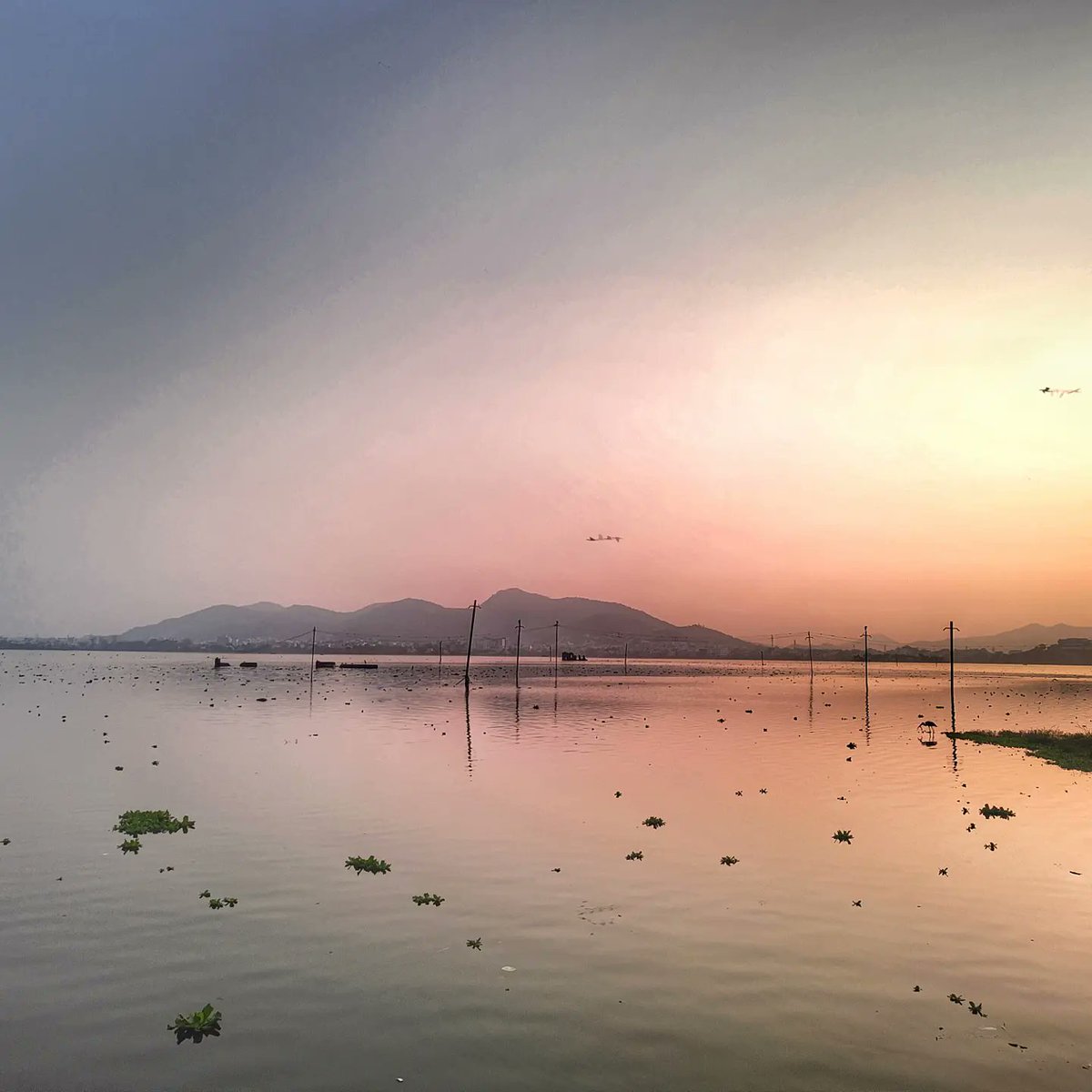 Beautiful Sunrise view at Anasagar lake, Ajmer, Rajasthan

Follow <a href="/onemindstand/">OneMindStand</a> 

#sunrise #sunrisephotography #lake #anasagarlake #anasagar #ajmer #ajmercity #travelphotography #blog #lakeview #photooftheday #photographers_of_india #officialphotographyhub #rajasthantourism