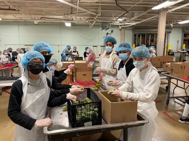 FXWChicago's tweet photo. We are so proud of our nearly three dozen FXW middle schoolers who devoted part of their day off on Friday in service to the Greater Chicago Food Depository peeling and preparing 2,100 pounds of tomatillos! #FXWproud #FXWservice #FXWstrong https://t.co/gPCbFCltmc