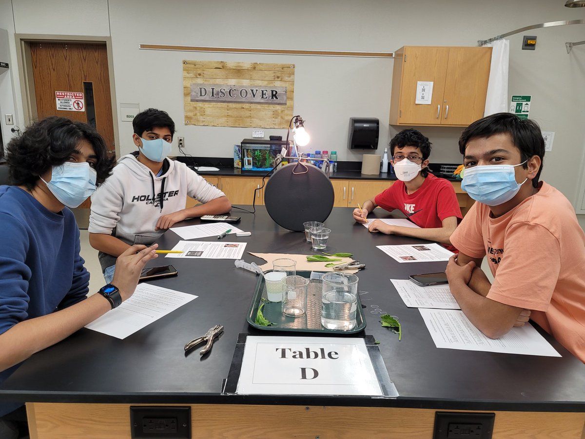 LTHScience's tweet photo. Looking for evidence of Photosynthesis using spinach!  Will the plant produce oxygen without a source of carbon dioxide? #letsfindout #apbiology @LebanonTrailHS https://t.co/cux8cnny8y