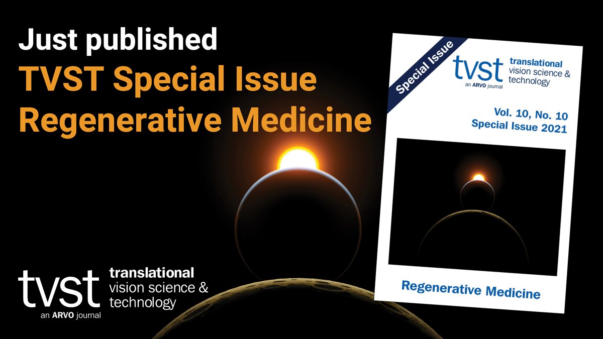 Marco Zarbin tweet media