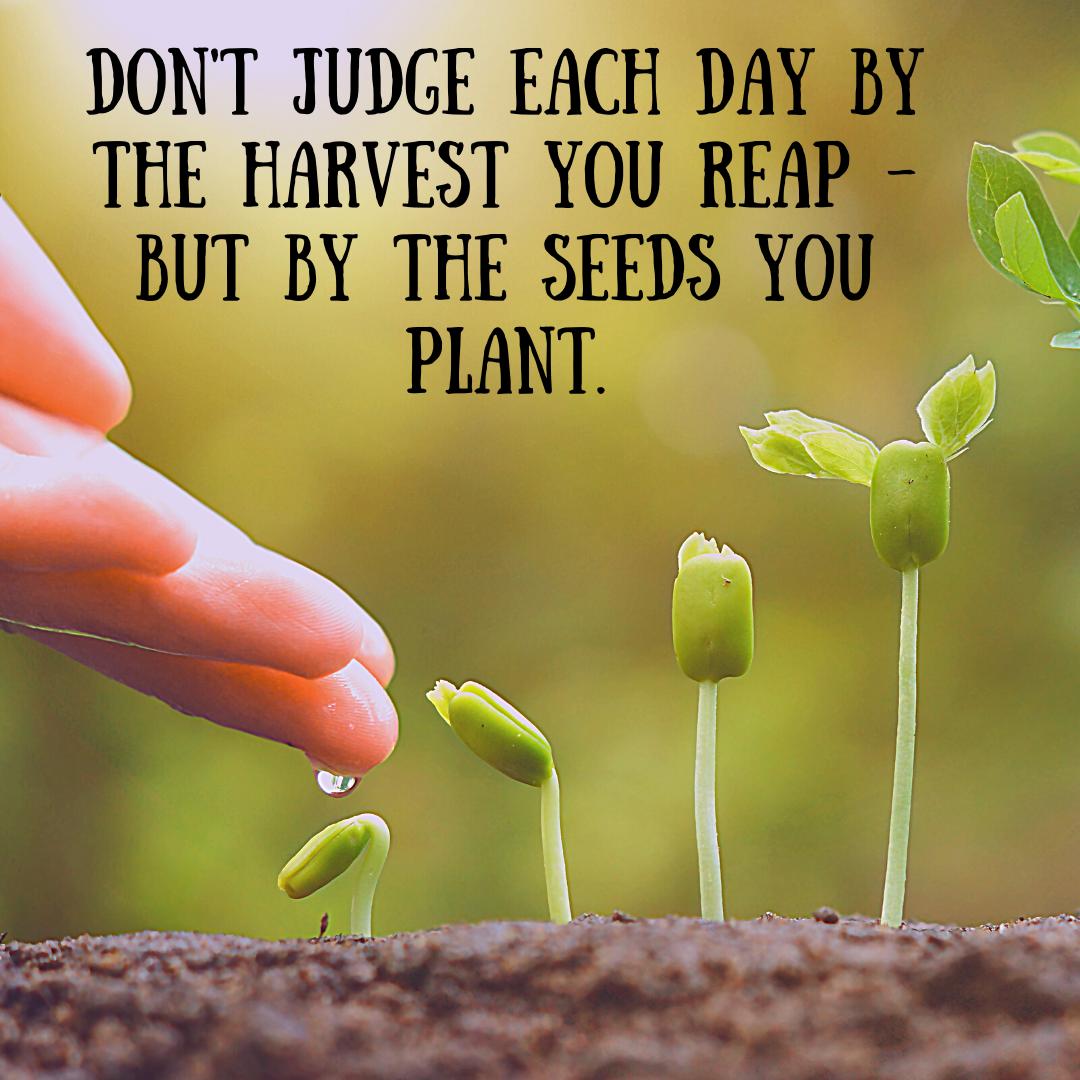 DanglebenGroup's tweet photo. Invest now... reap later. 

#entrepreneurship #entrepreneur #business #entrepreneurlife #success #motivation #hustle #marketing #businessowner #startup #entrepreneurs #money #inspiration #mindset #smallbusiness #motivationalquotes #goals #successmindset #happy #follow #lifest... https://t.co/vjMx3zc6ng