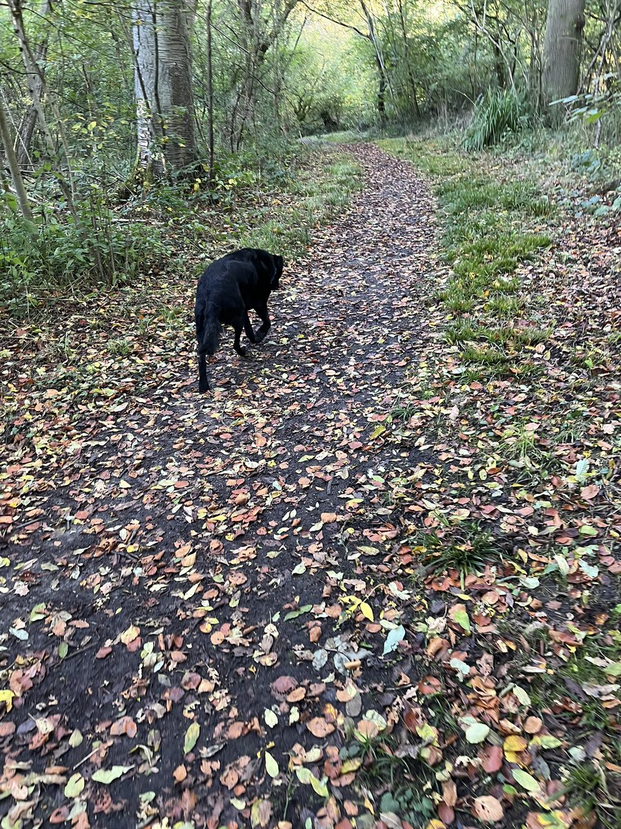 Is this a sign that the universe is looking after me. 
Day off and thought I know I’ll catch up with a whole load of work emails, datex etc but my internet connection failed at 10am so book reading and dog walking instead. Lovely 🥰