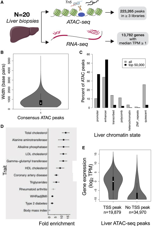 Cell Press tweet media