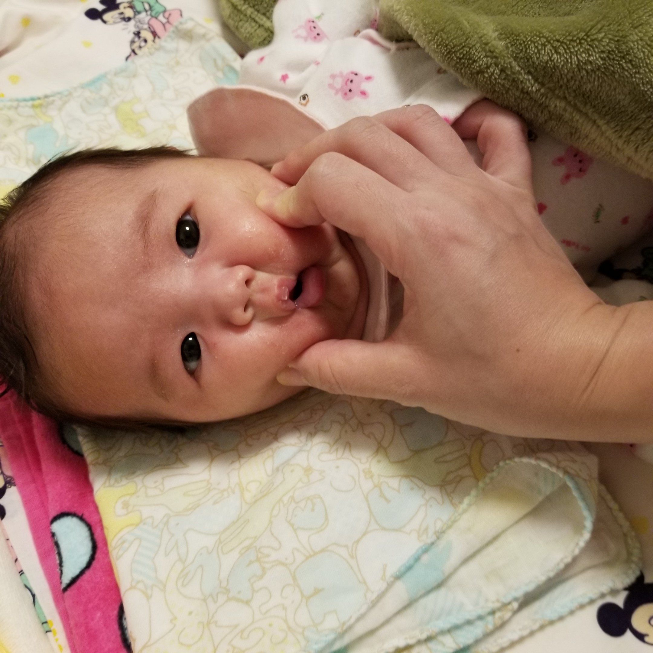 みりん Laocoste38 Twitter