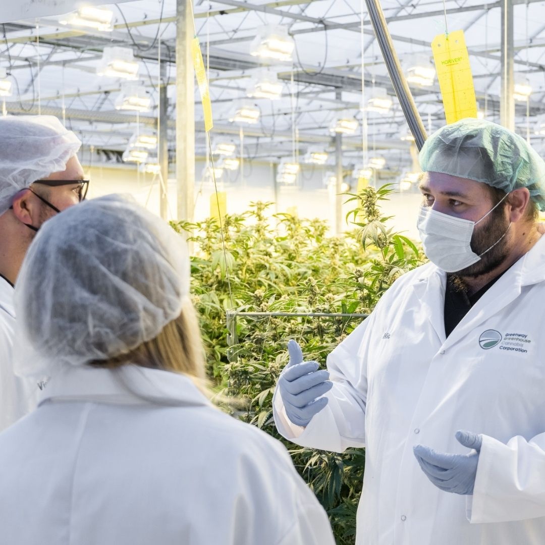 Greenway Greenhouse (CSE:GWAY) tweet media