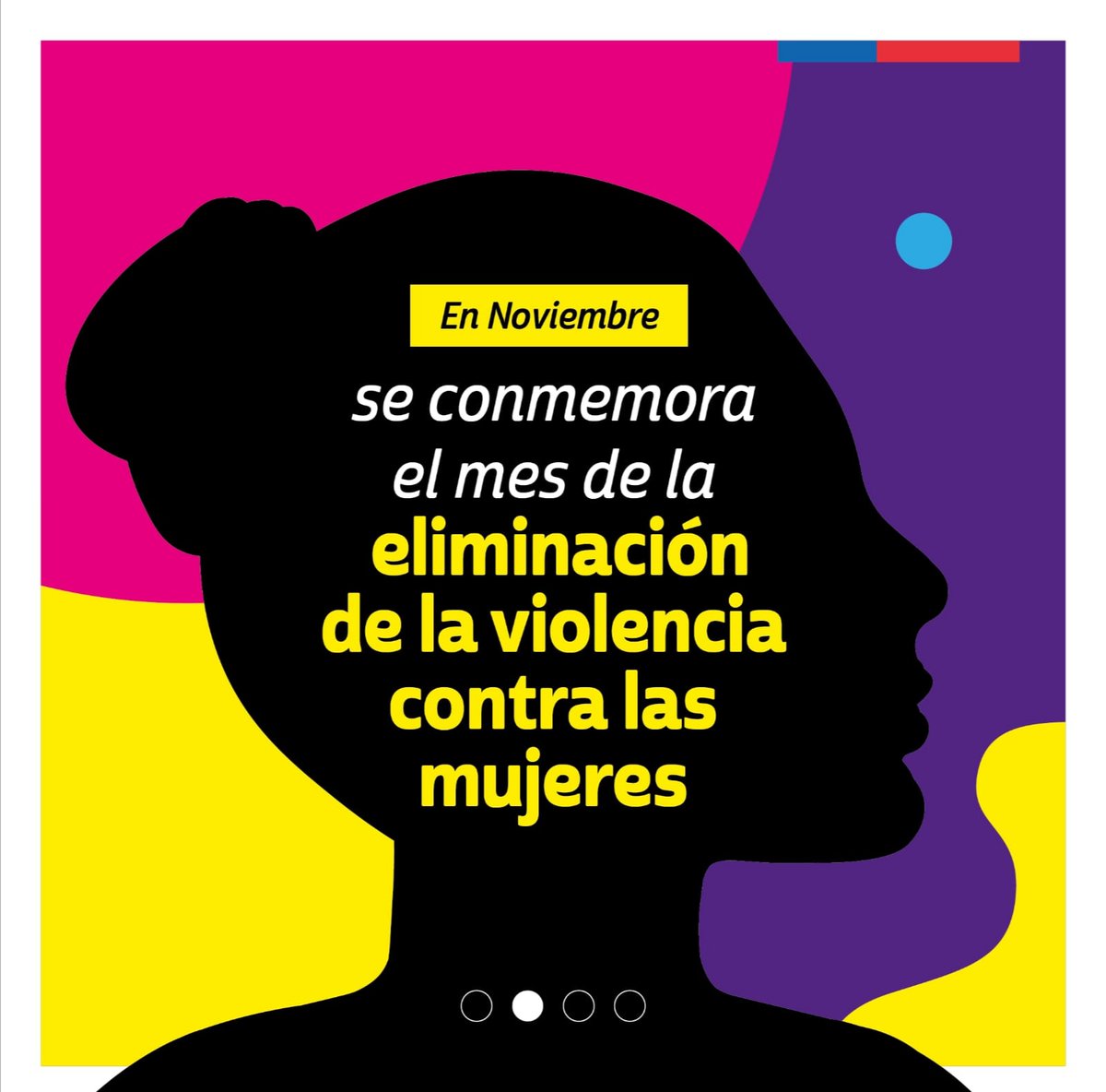 Seremi de la Mujer y la Equidad de Género Aysén tweet media