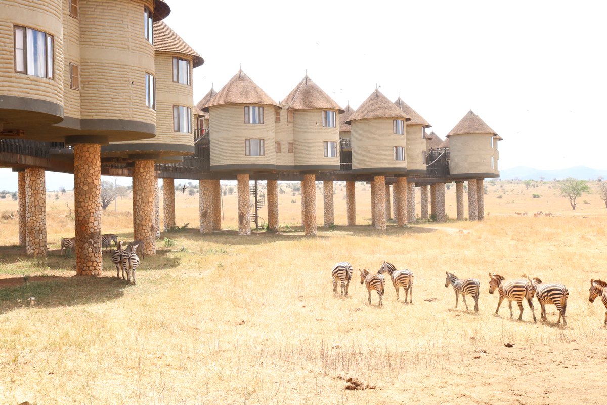 Did you miss booking your Salt Lick Experience at the just ended Sarit Holiday Expo? No worries! Your next Staycation could be this weekend! Save up to 10% of the best available rate by using the promo code 'Sarit2021' on our website.

➡️ saltlicksafarilodge.com