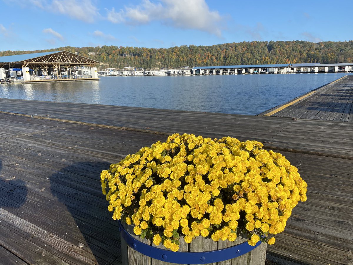 BoatsBuyTerry's tweet photo. The leaves are slow to change this Fall, so the first day of November looks spectacular at #ConleyBottomMarina on #Lake Cumberland today! https://t.co/wg3X3NFqIV