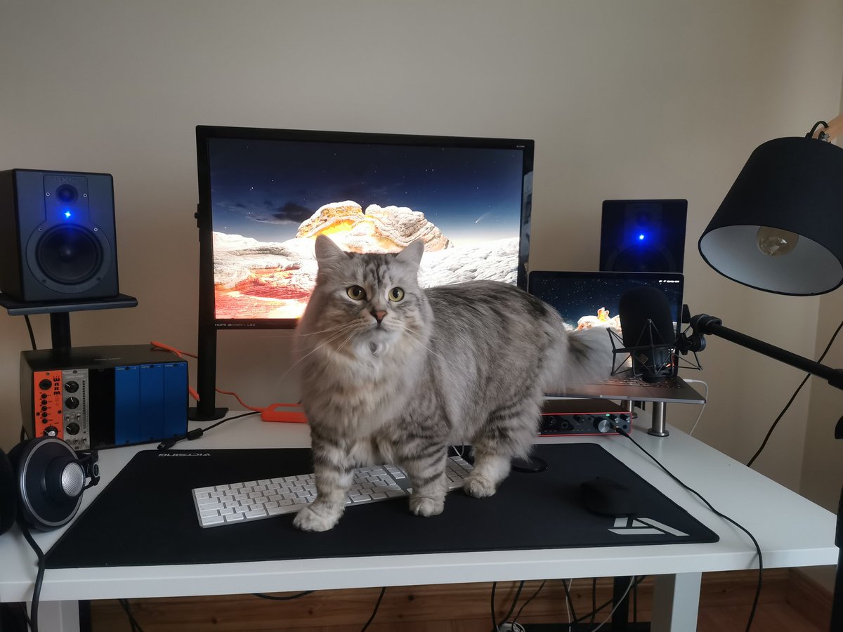 fromthemakerpod's tweet image. This week on the podcast.....