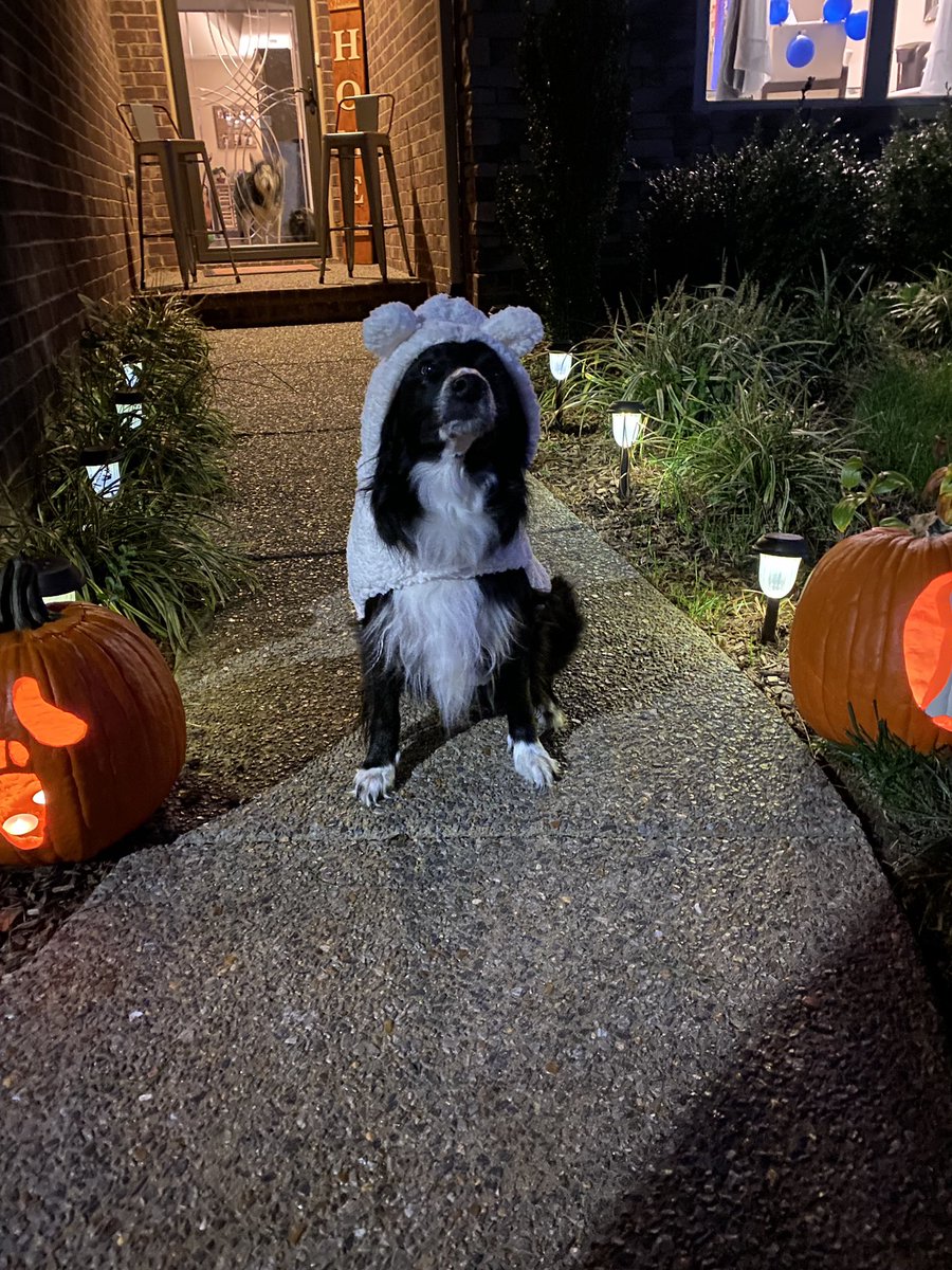 thatwiseoldhag's tweet photo. definitely the best Halloween i’ve had 🎃👻♥️ https://t.co/Y3mQJ8DfUX