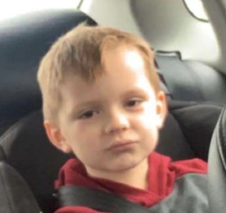 taylorsteenn's tweet photo. @codyeide Jax when you tried to explain this to him https://t.co/SGt9qNBQI0