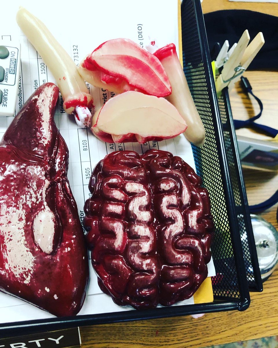 KatieKinder1's tweet image. Ms. L bringing that #tlap life to life today #telltaleheart #pcsrocks #hefnerstrong #pcproud #oklaed later this week, cross curricular with a mock trial in #ushistory My Ts are the best!