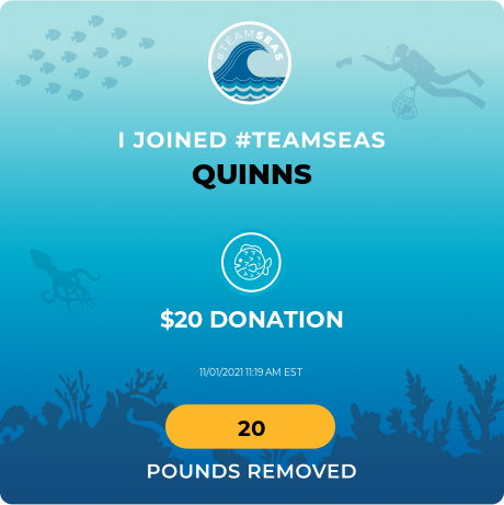 QuinnPJ's tweet photo. #TeamSeas https://t.co/BMp5yt9KDC