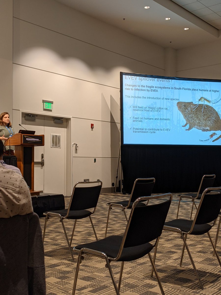 Awesome job @KristinSloyer presenting your research on sampling and host association for enzootic vectors of VEEV in FL #EntSoc21 🦟👀🔍 @MUVE_ESA @FmelUf @UFEntomology