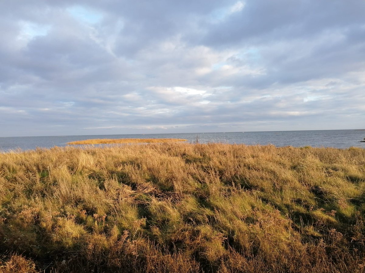 NordSalt's tweet photo. What a great start to the soil collection from the Danish site with @NatSci_AU @AarhusUni @NATsdu, and @unihh! Thanks @Carmen_Leiva_ and Marianna Lanari for capturing the team in action. #saltmarsh #ClimateChange experiment https://t.co/iLL1wfmmyk
