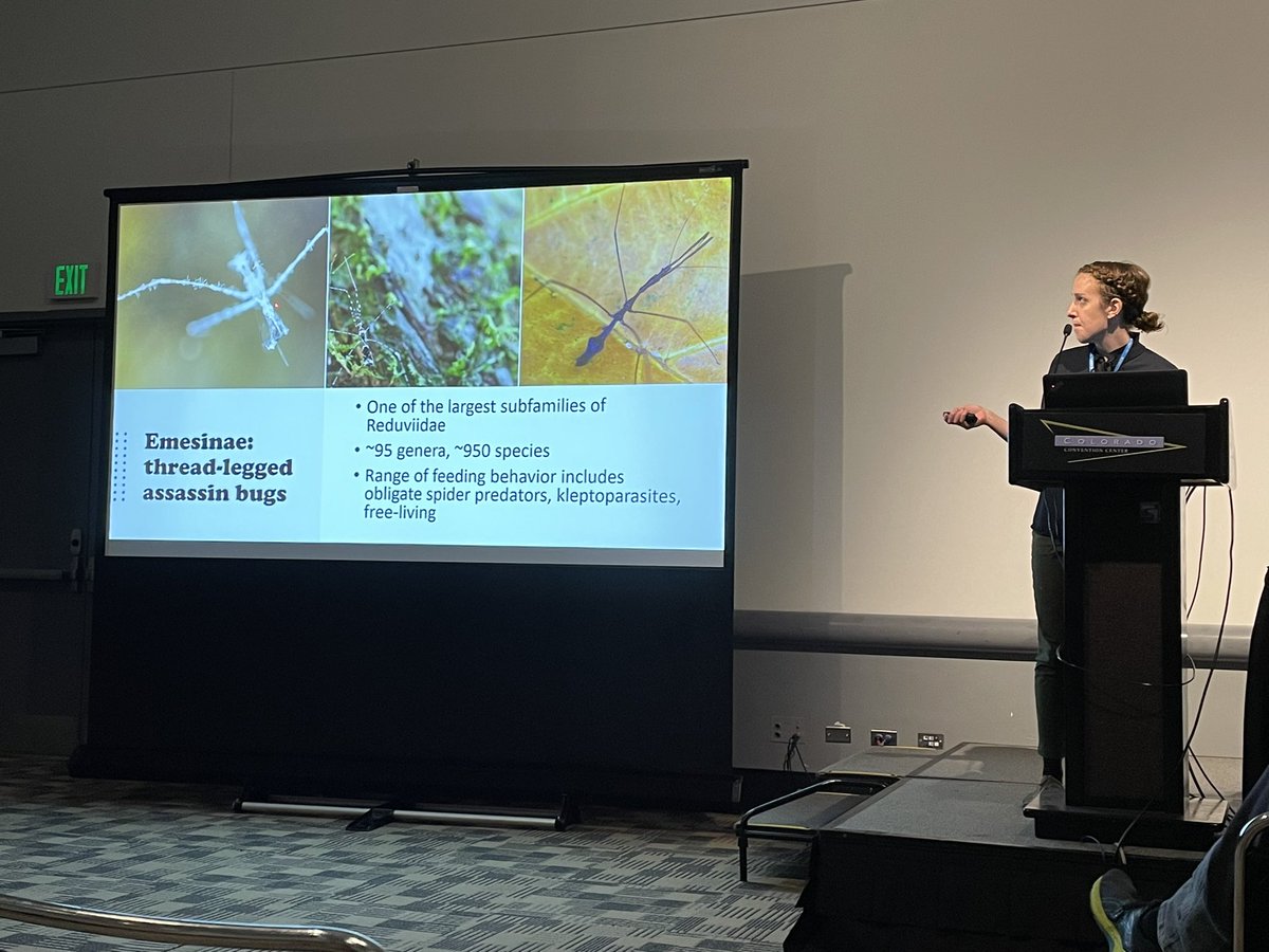 Dr. Rebecca Clement tweet media