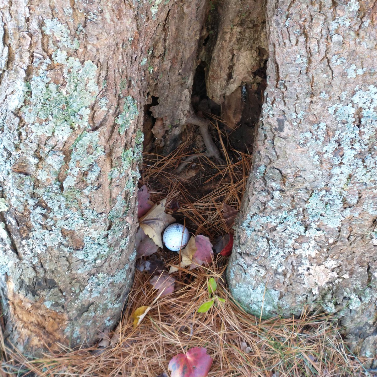 AleMorenoESPN's tweet image. The day can only get better from here!!!