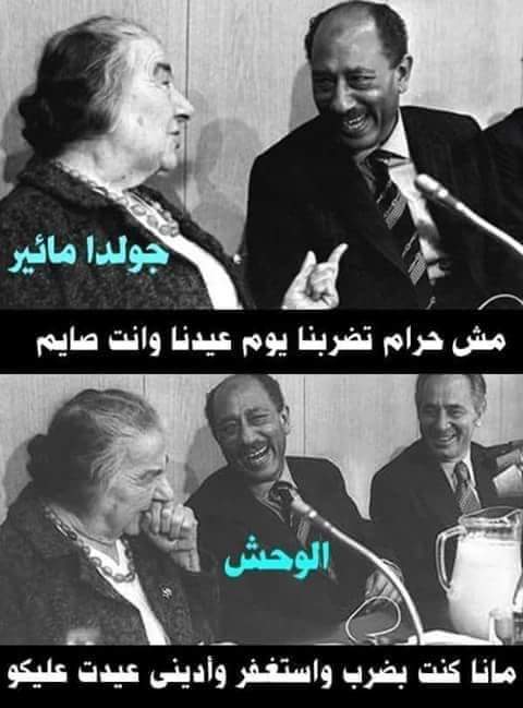 Mostafa06931094's tweet photo. @ShehabNany https://t.co/1sknt1ih5O