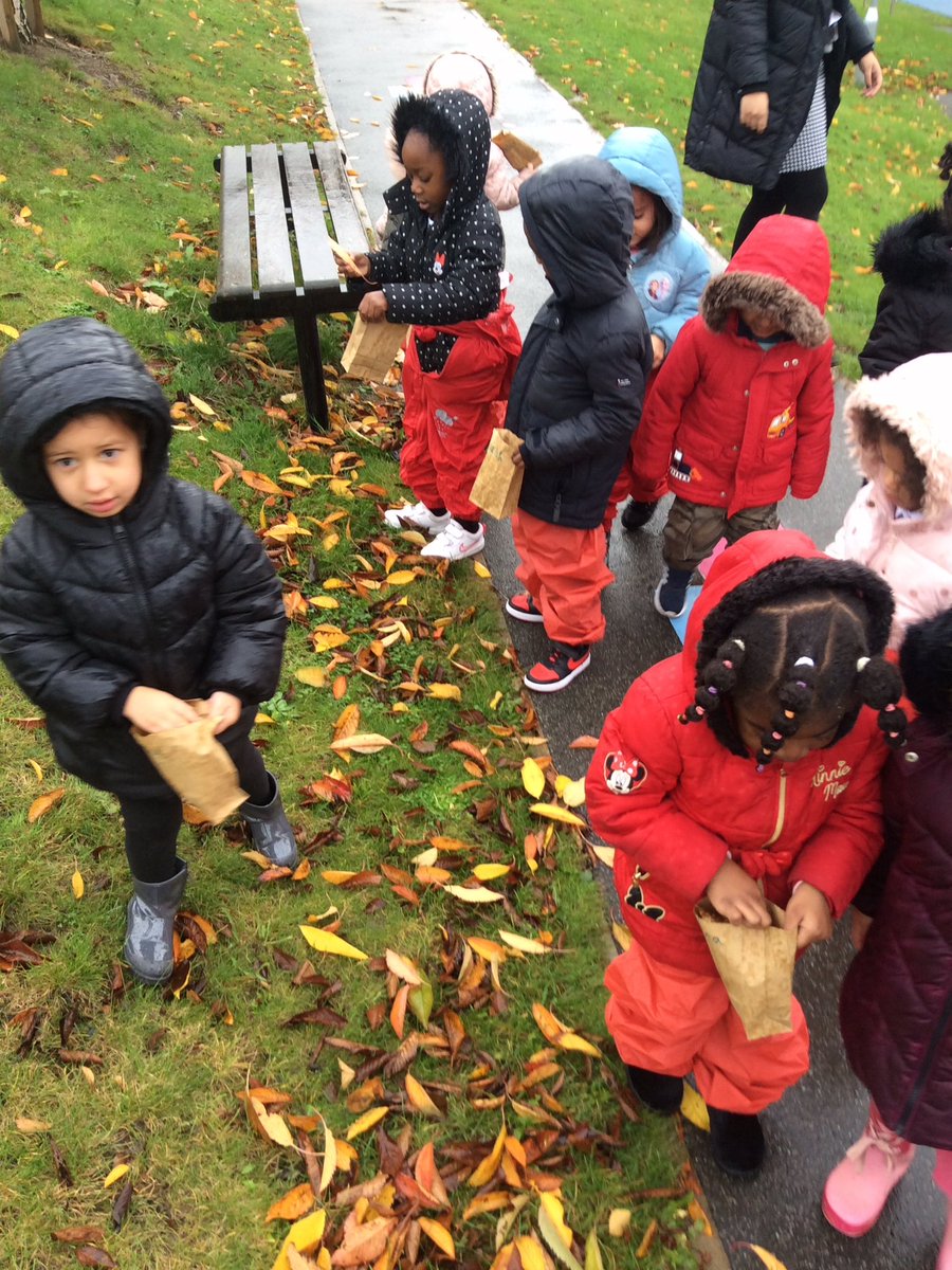shakespeareLS9's tweet photo. Nursery don't have to go far to explore the changing seasons on a nature walk - we have many beautiful trees on our wonderful school site! Today's task - fill a bag with leaves so we can explore, sort and compare what we find ππ #changingseasons #autumn #layeringlearning https://t.co/rs2L5OKOyo