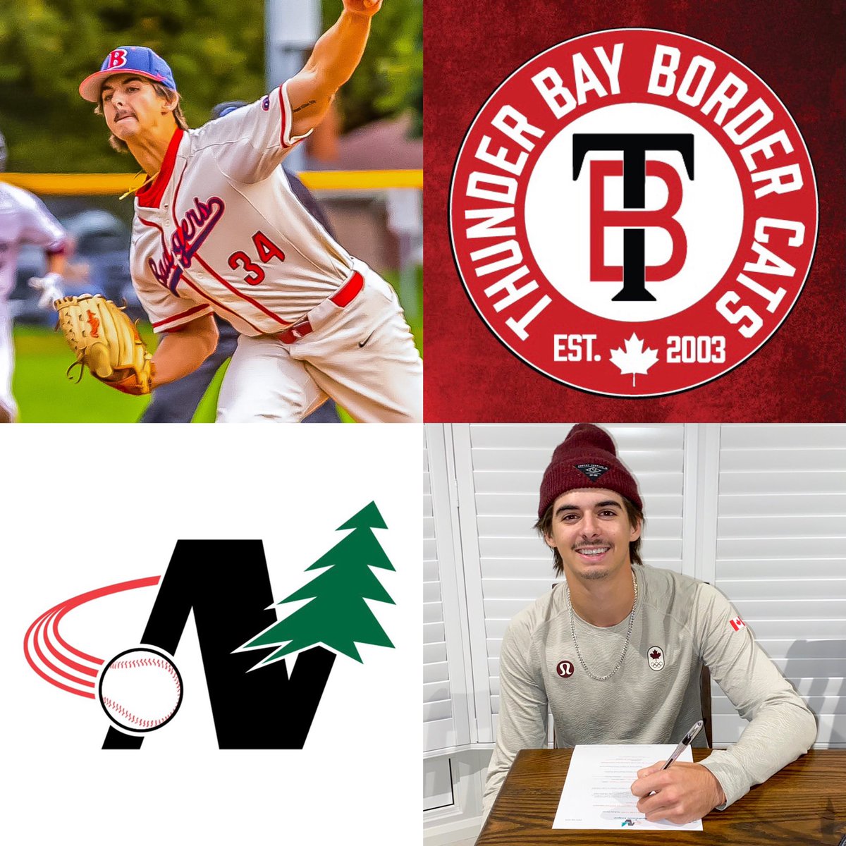 brockbaseball's tweet photo. Congratulations to LHP Nick Davies (@nick_davies1010) on signing with the @TBBorderCats of the prestigious Northwoods League for next summer.

Nick's FB has been up to 91 MPH this season.

For more info on @NWLbaseball: https://t.co/vWBGD1bTw5

#WeAreBadgers #NWL https://t.co/F0sXLq7yVP