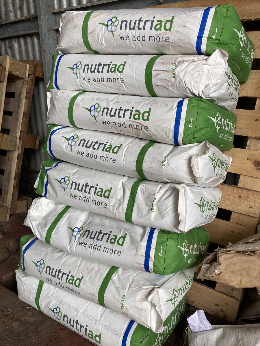 sns_uruguay's tweet photo. Tranquilas van al pastoreo porque el problema de las #micotoxinas está resuelto con #UnikePlus
Se presentaron problemas, se analizó y se detectaron #micotoxinas en algunos alimentos pero desde que se usa #UnikePlus la producción y salud volvieron a la normalidad
#WeAddMore https://t.co/XPtfUYNTqD