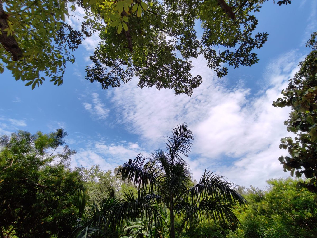 Amicable_10's tweet photo. #threadofcalm😍 https://t.co/f8h74kT3S9