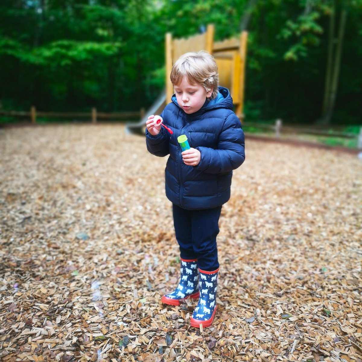 the Frenchie Mummy tweet media