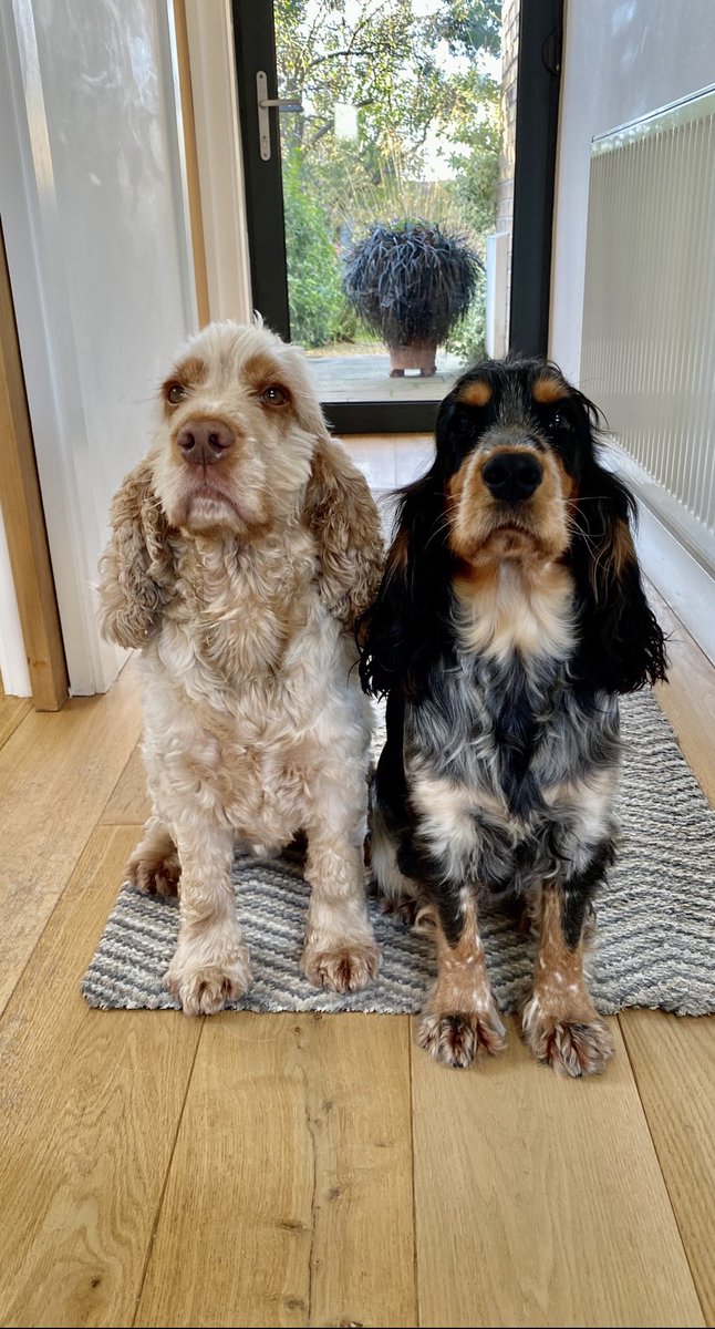 Martin Crook tweet media