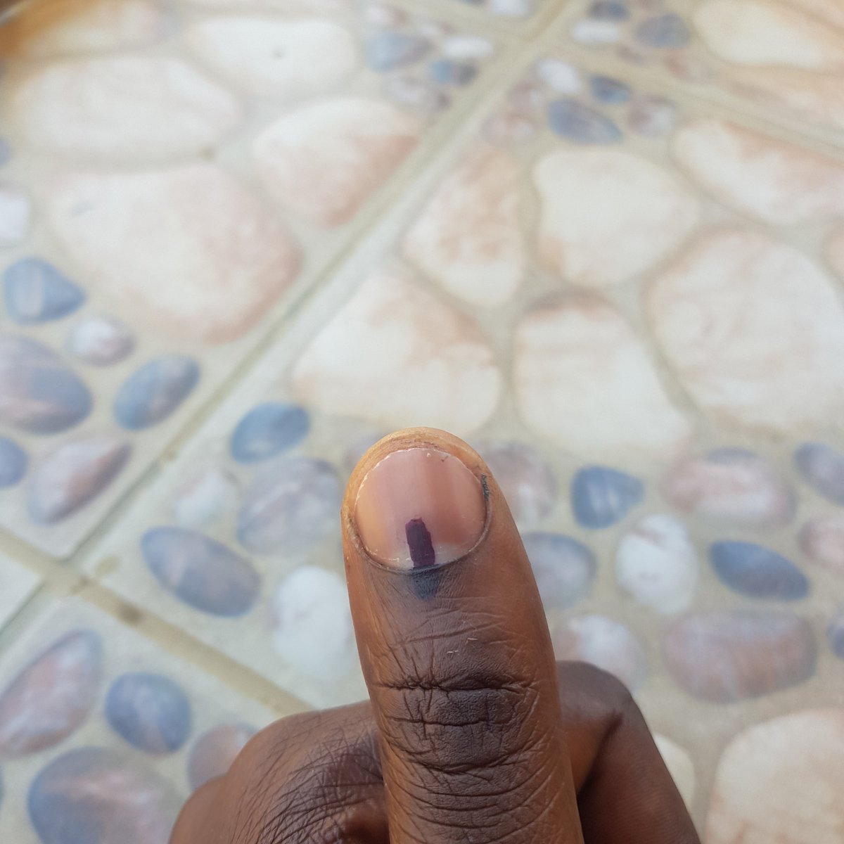 PercyMxo1's tweet photo. This is for my President @HermanMashaba https://t.co/ffFhkt68J2