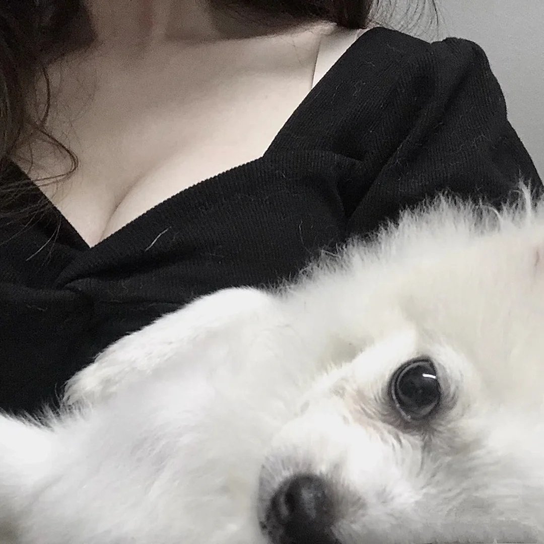 xiaotaoya's tweet photo. 小狗真可爱 #大连约炮 #上门 #胸 https://t.co/Uj3HAhVBND