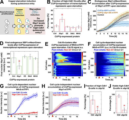 JCellBiol's tweet photo. .@Orland_AM, Marchand, @TaylorK47997870, @maraxen0, @noh_jungsik @CellUtsw use machine learning & spectral imaging to show how the stress-activated transcriptional repressor Xbp1 can drive cellular #quiescence even outside the G1 #CellCycle stage https://t.co/1EZf8fDJaT https://t.co/MZG0uDlpez