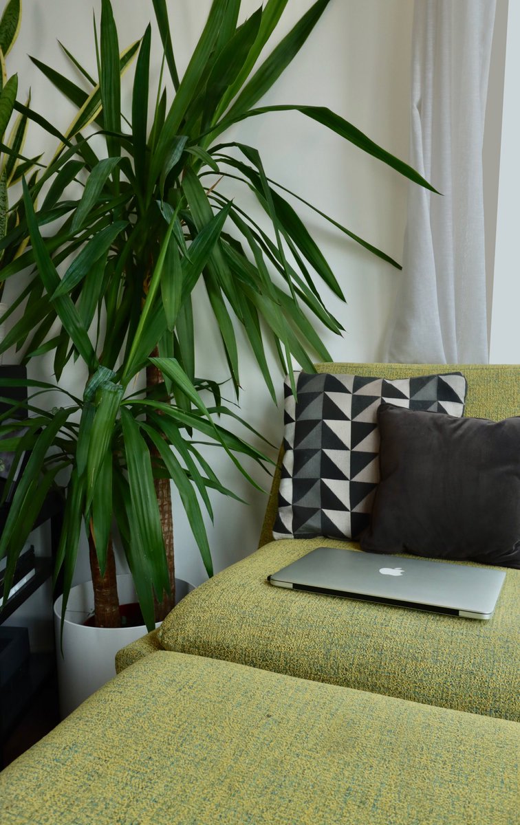 MazDesigns tweet media