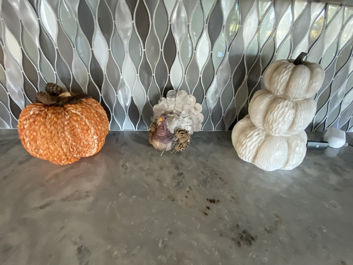 GardnerChristm1's tweet photo. Very brief Nod to Thanksgiving before we transform our entire house into a Christmas Wonderland! 🦃🍂🍁🦃🍂🍁🦃 #gardnerchristmaswonderland #puntagordafl #thanksgivinginflorida 🦃🌴🍂 https://t.co/q5AJL1N7Lf