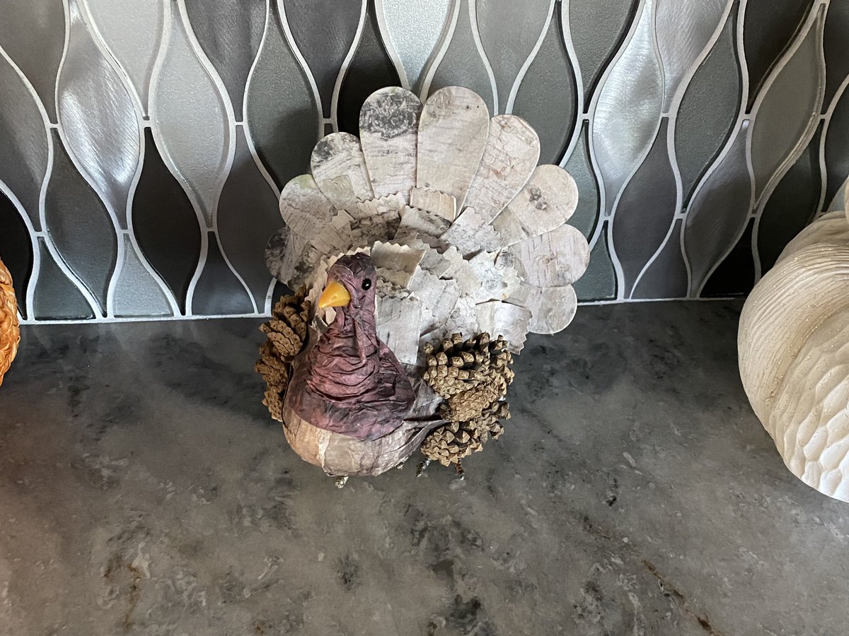 GardnerChristm1's tweet photo. Very brief Nod to Thanksgiving before we transform our entire house into a Christmas Wonderland! 🦃🍂🍁🦃🍂🍁🦃 #gardnerchristmaswonderland #puntagordafl #thanksgivinginflorida 🦃🌴🍂 https://t.co/q5AJL1N7Lf