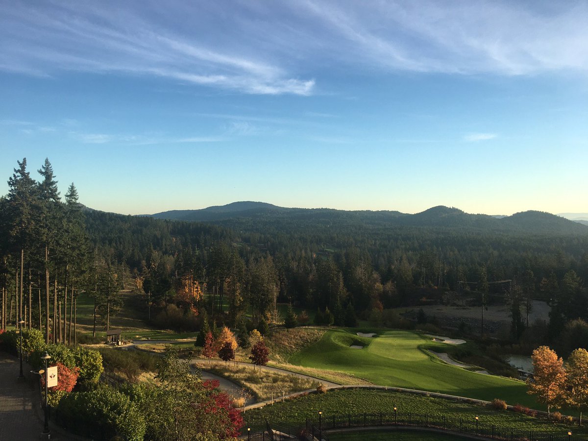 DataFLowe's tweet image. Current status