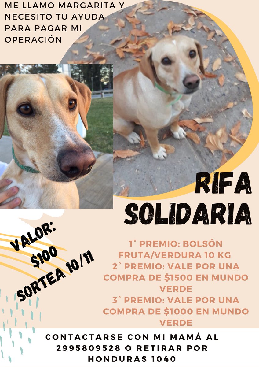 Buenas!! Estoy realizando una rifa para costear la operación de mi perrita. Me ayudan con un rt o megusta por favor. Muchas gracias 💘
