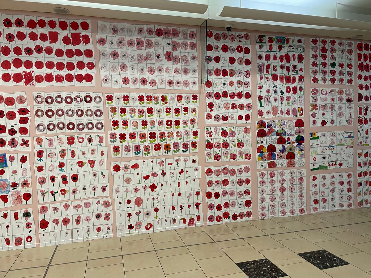 QHAThurrock's tweet photo. It was a privilege to be a part of this amazing collaborative art project commemorating 100 years of the poppy appeal. Why not go and visit and try to spot your child's poppy?! (The wall can be found in Lakeside, near MacDonalds on Level 2 - House of Fraser end.) https://t.co/nYvZ0NzLSY