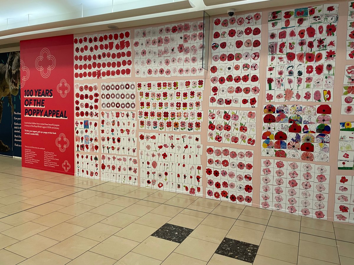 QHAThurrock's tweet photo. It was a privilege to be a part of this amazing collaborative art project commemorating 100 years of the poppy appeal. Why not go and visit and try to spot your child's poppy?! (The wall can be found in Lakeside, near MacDonalds on Level 2 - House of Fraser end.) https://t.co/nYvZ0NzLSY