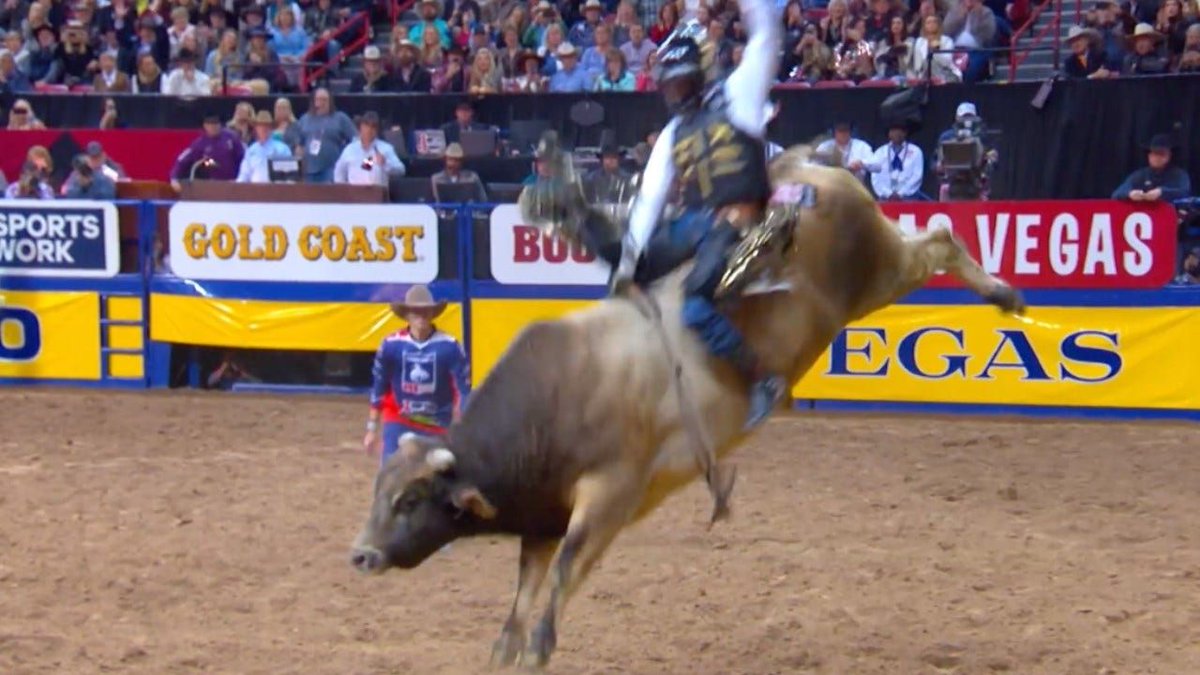 The legendary bull SweetPro's Bruiser will no longer compete at rodeos 
buff.ly/3GIT3gg
