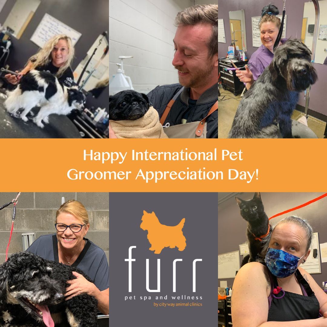 IT'S #InternationalPetGroomerAppreciationDay! We are so #thankful for this team of rockstars. Your four-legged friend is in the best hands from start to finish. Stop by today to show them some love! #FurrPetSpa