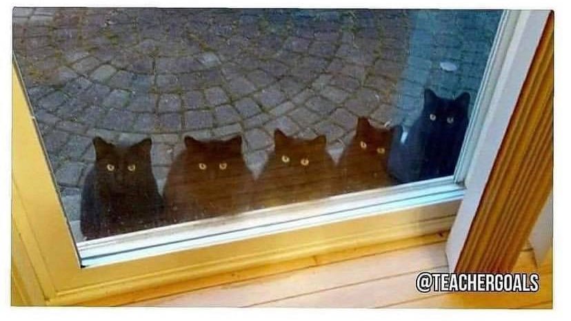 teachergoals's tweet photo. *Students turn in test

*Five minutes pass

Students: Have you graded it yet? https://t.co/r69auue7wM