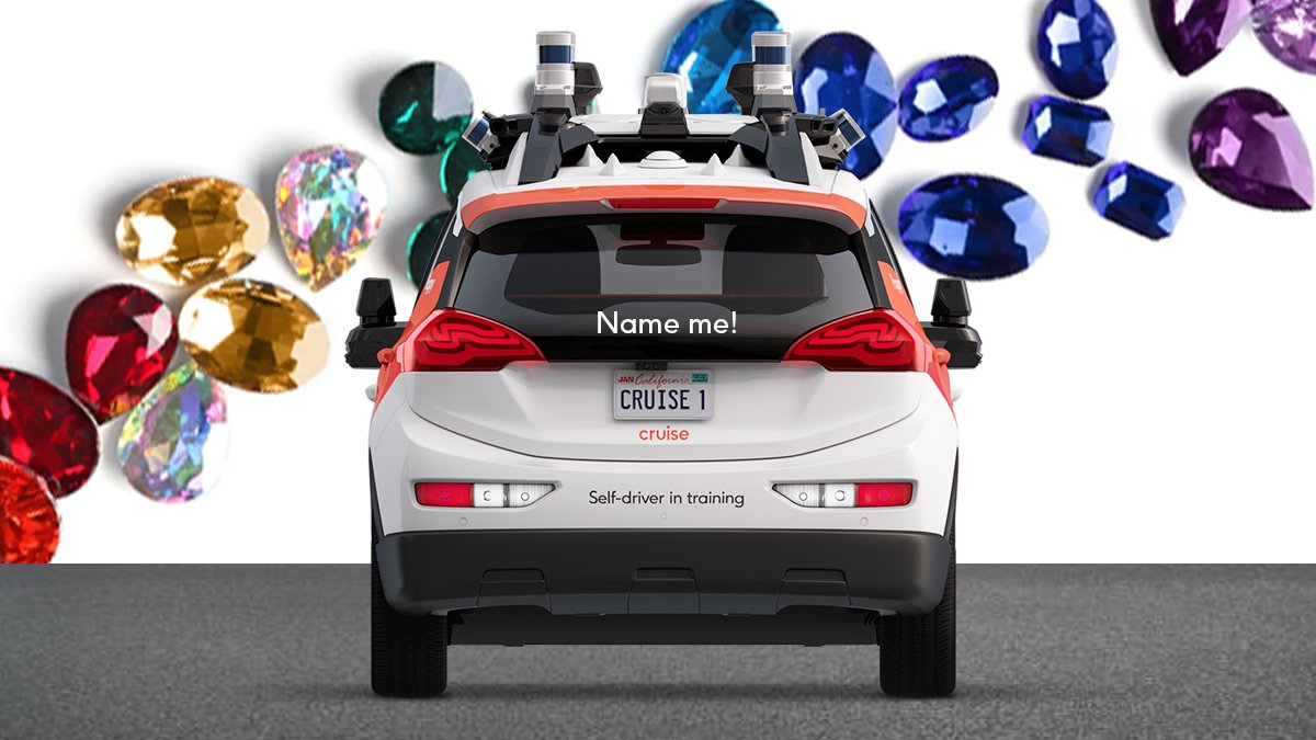 poppytheav's tweet photo. Time to rock, friends! I have a bunch of new pals coming to SF and NONE of them have names. 

Need your help - reply with your best name and #NamePoppysPals #Promotion - must be a rock, mineral, or gem. https://t.co/EWjqTECOO9 50 US No Purch Nec 13+ Ends 11:59 pm PT 11/28 https://t.co/nvoThpzGn6