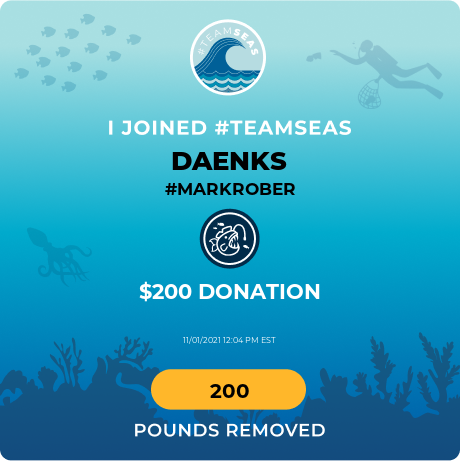 GuardianDaenks's tweet photo. #TeamSeas @MarkRober https://t.co/dH6Gptkcjd