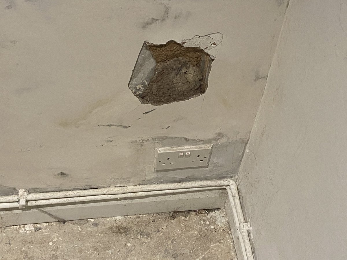 rmjtsmith tweet media