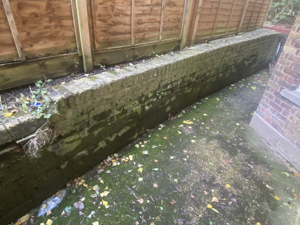 rmjtsmith tweet media